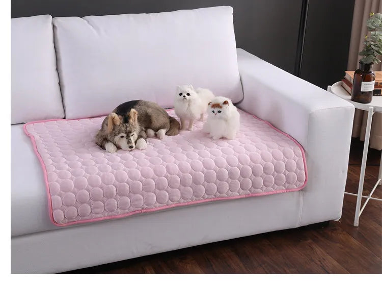Hund und Katzen kuscheln gemeinsam auf der Kühlmatte auf dem Sofa